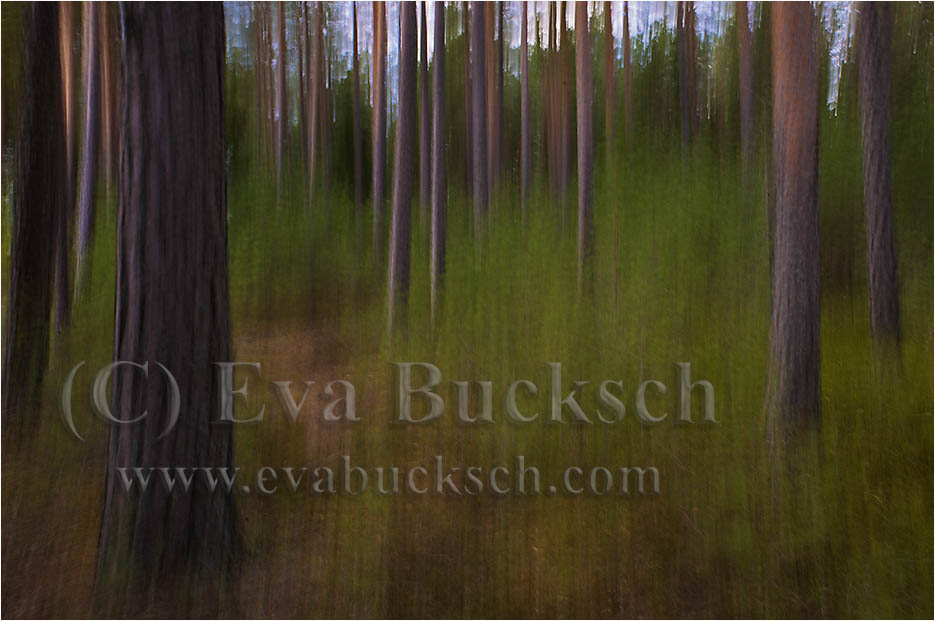 Foto Eva Bucksch